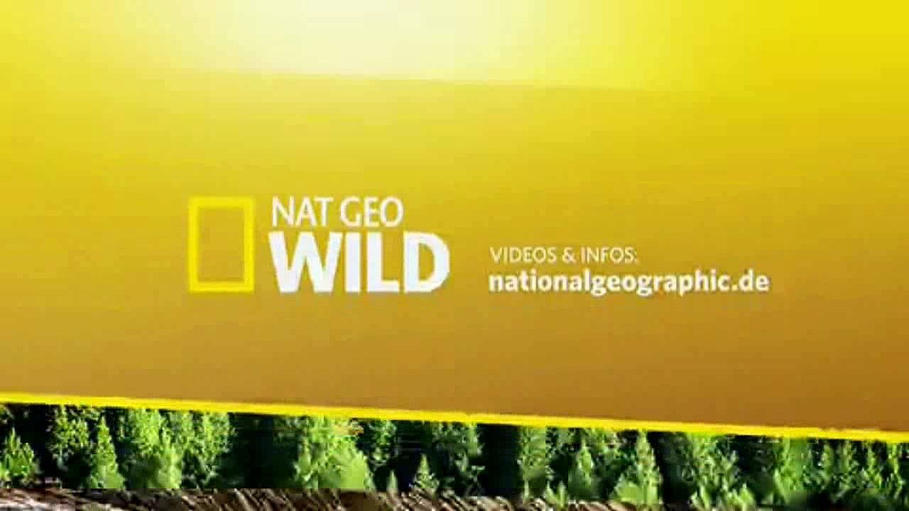 Savage Kingdom - S1E1: Fels der Leoparden