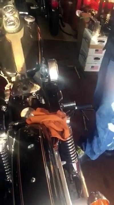 FXS1981