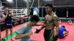 L'entrainement de ce Boxeur Thaï est dingue... Abdos en acier