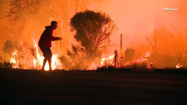 Ce héro sauve un lapin des flammes en californie...