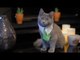 Hilarious Sketch Shows What Would Happen if Cats Could Buy Real Estate