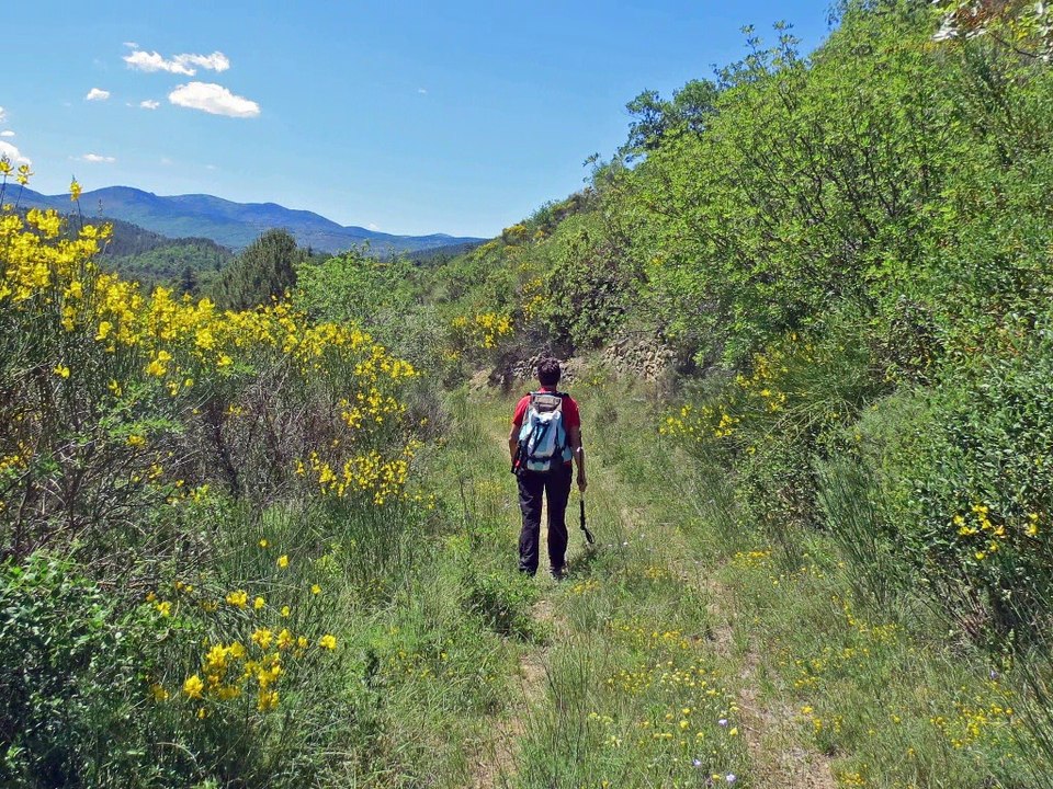 CIRCUIT AUTOUR DU VALLON DE LA DESIX depuis Sournia