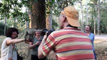 Monkey attack human 2017 - Amazing Wild Monkey Meeting and Drink Coca Cola - Cute Animals
