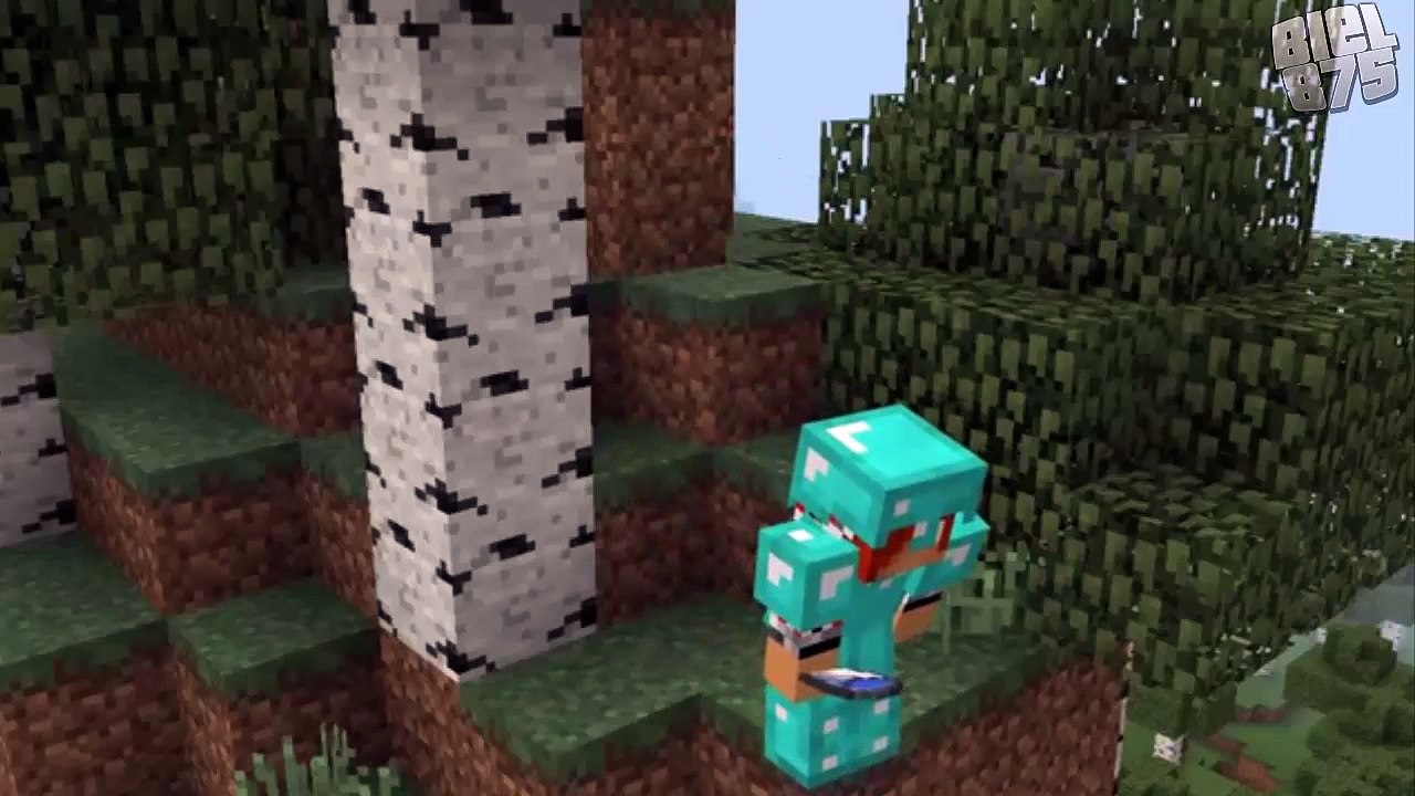 Noob vs. Pro - Minecraft