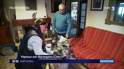 Chien visiteur : le meilleur ami de l'homme