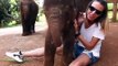 Ce bébé éléphant a trouvé un jouet : une touriste !!