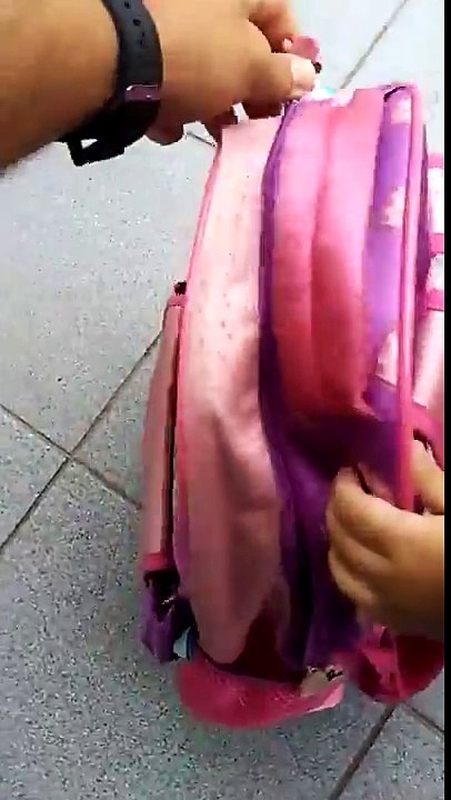 Cette petite essaye d'amener son chien à l'école dans son sac à dos !
