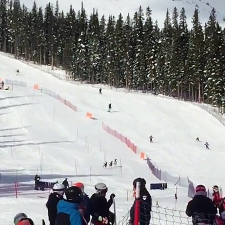 Interruption d'une course de ski... par des rennes !!