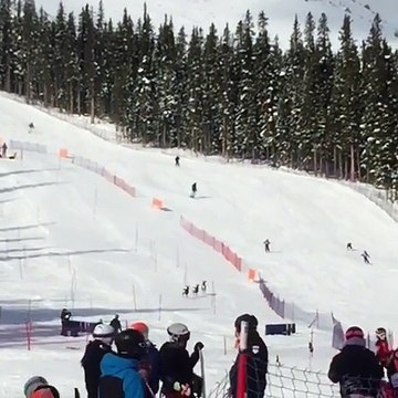 Interruption d'une course de ski... par des rennes !!