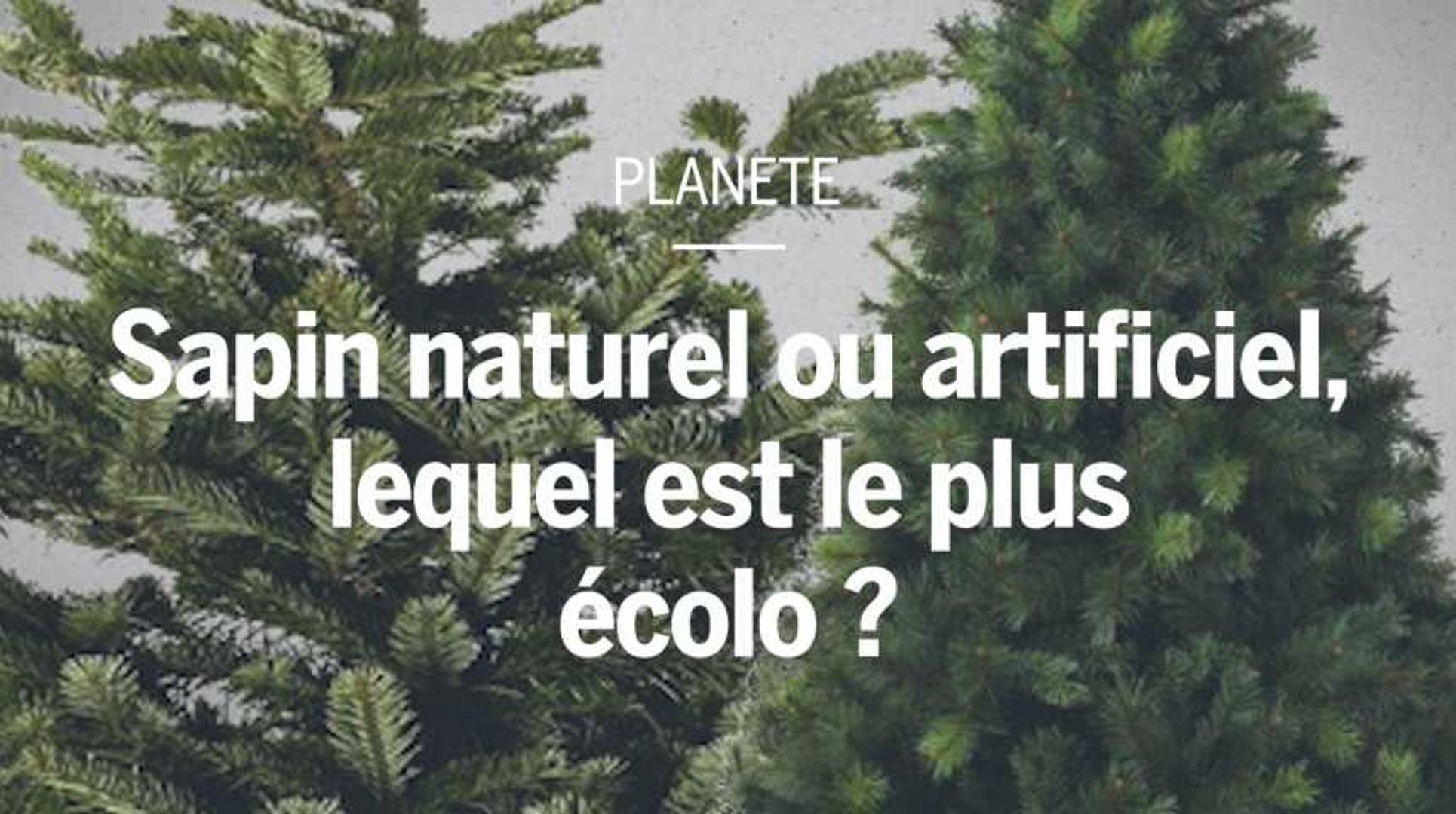 Sapin naturel ou sapin artificiel : lequel est le plus écologique