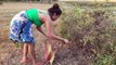 Brave Girl Catch Village Snake in My Village - How To Catch Village Snake In My Village
