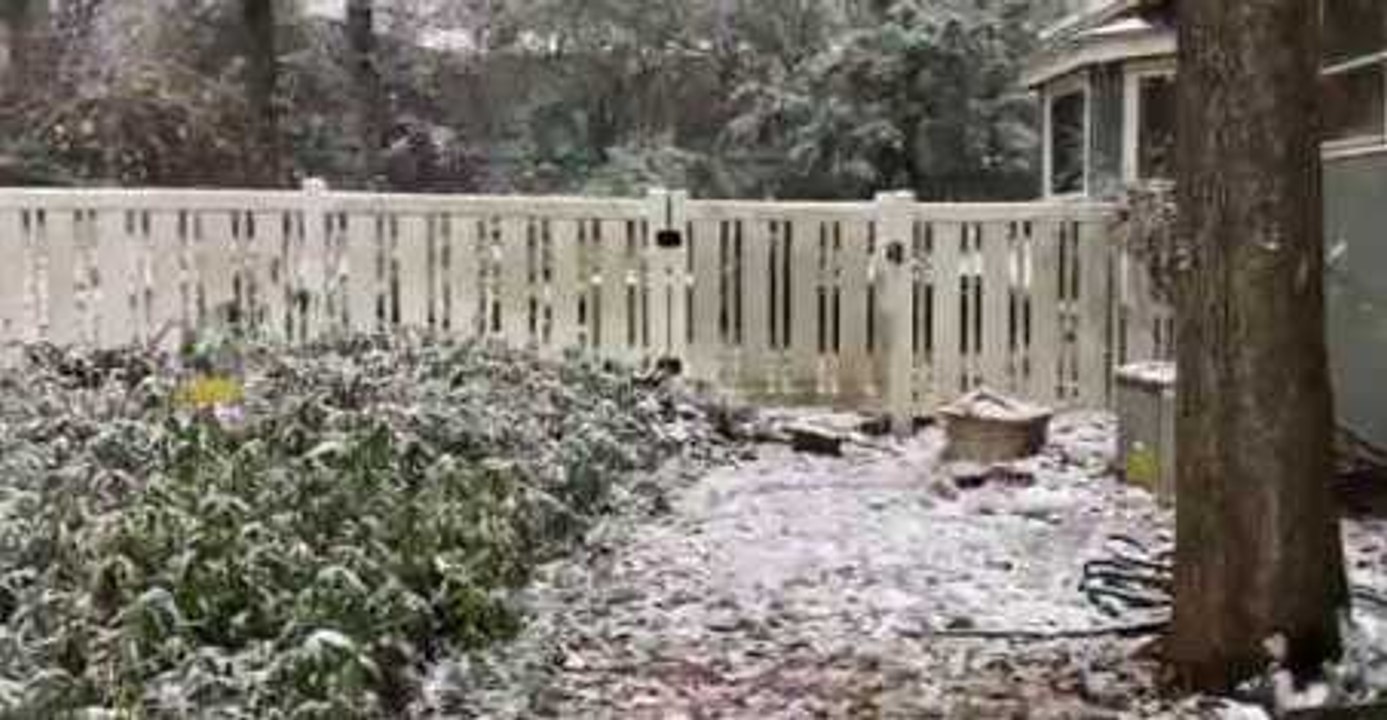 Atlanta Area Sees Heavy Snowfall