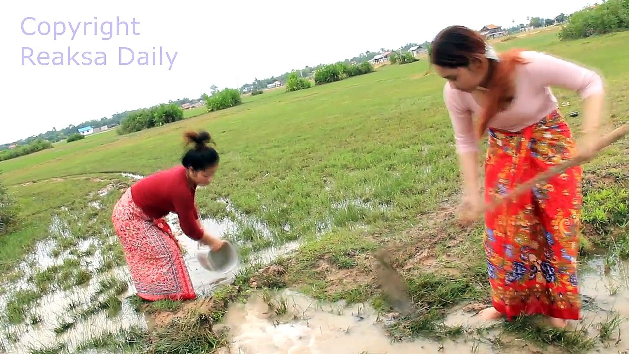 Amazing Beautiful Girls Catch Fish by Hand in the Rice Field in Siem Reap