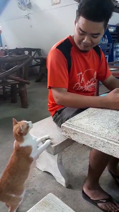 Please Sir, I Want Some More