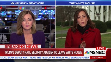 Deputy National Security Adviser Dina Powell To Leave White House _ MSNBC