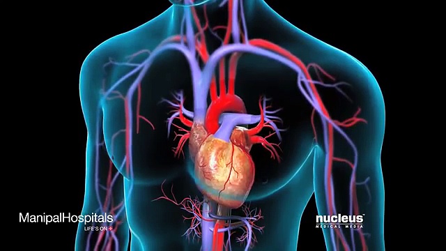 Cardiac Treatments & Coronary Angiography Treatment India