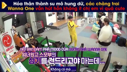 Hóa thân thành su mô hung dữ, các chàng trai Wanna One vẫn hút hồn không ít chị em vì quá cute