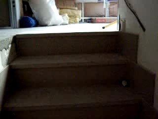 Travaux 197 visite guidée