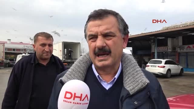 Trabzon Hamsi Rusya ve Gürcistan'a Kaçtı, Fiyatlar Uçtu