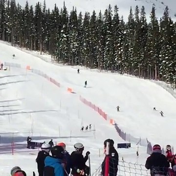 Interruption d'une course de ski... par des rennes !