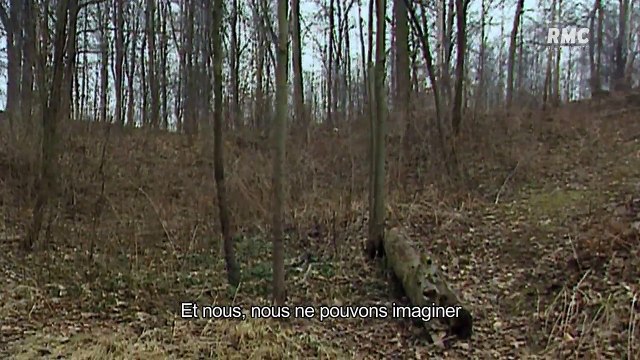 Les complices d'hitler speer l'architecte