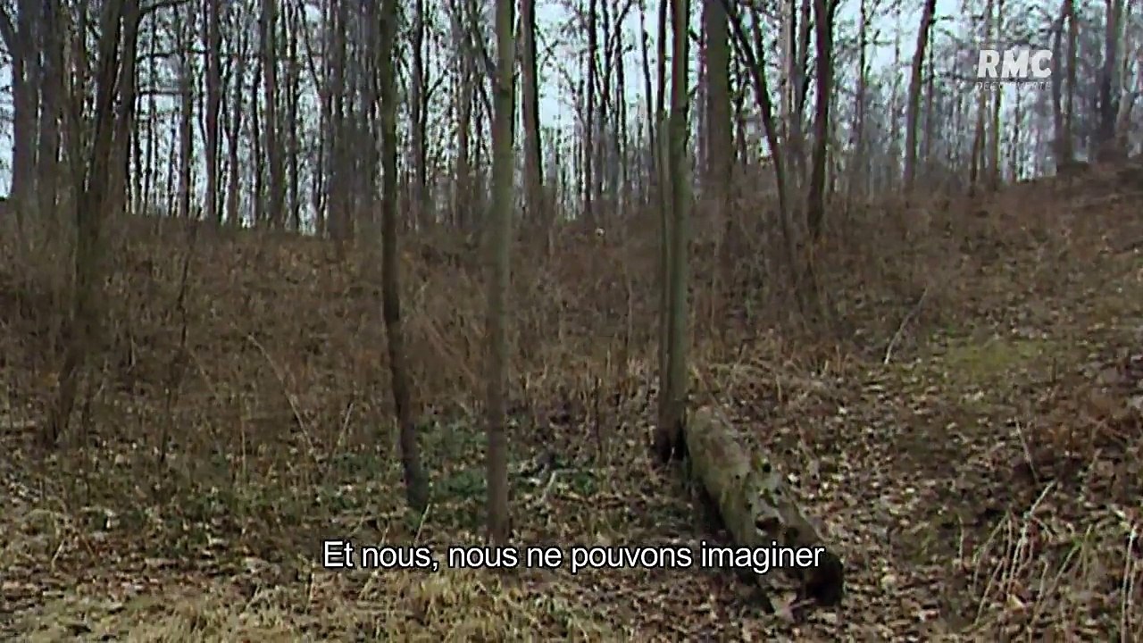 Les complices d'hitler speer l'architecte