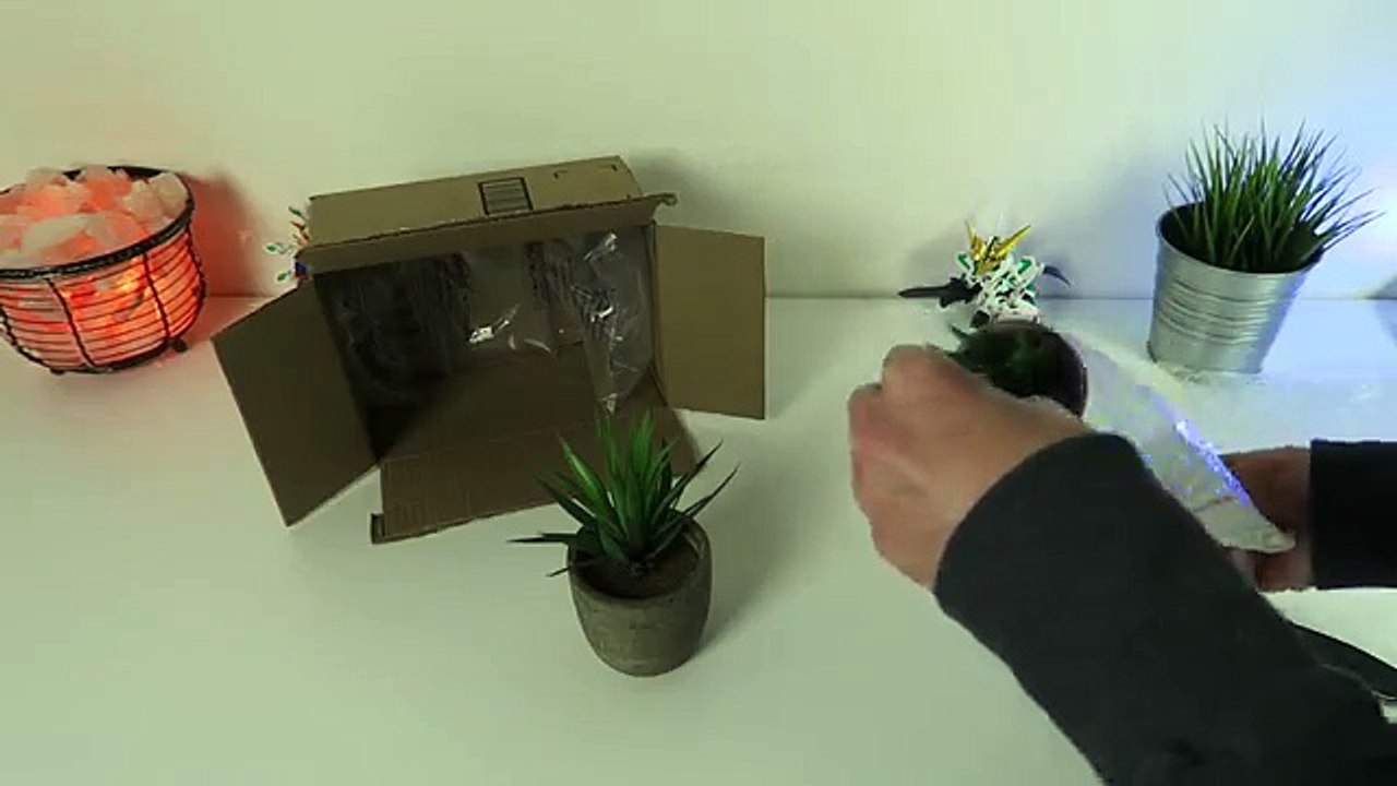 Desk and Gaming Setup Accent Plants