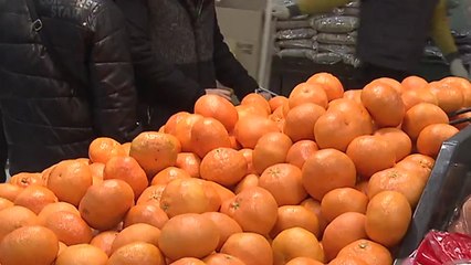 올해 가격 크게 오른 품목은 귤...84% 인상 / YTN