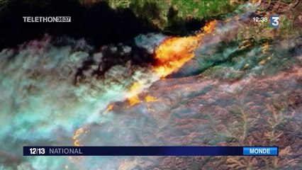 Californie : les incendies ont ravagé 60 000 hectares pour l'instant