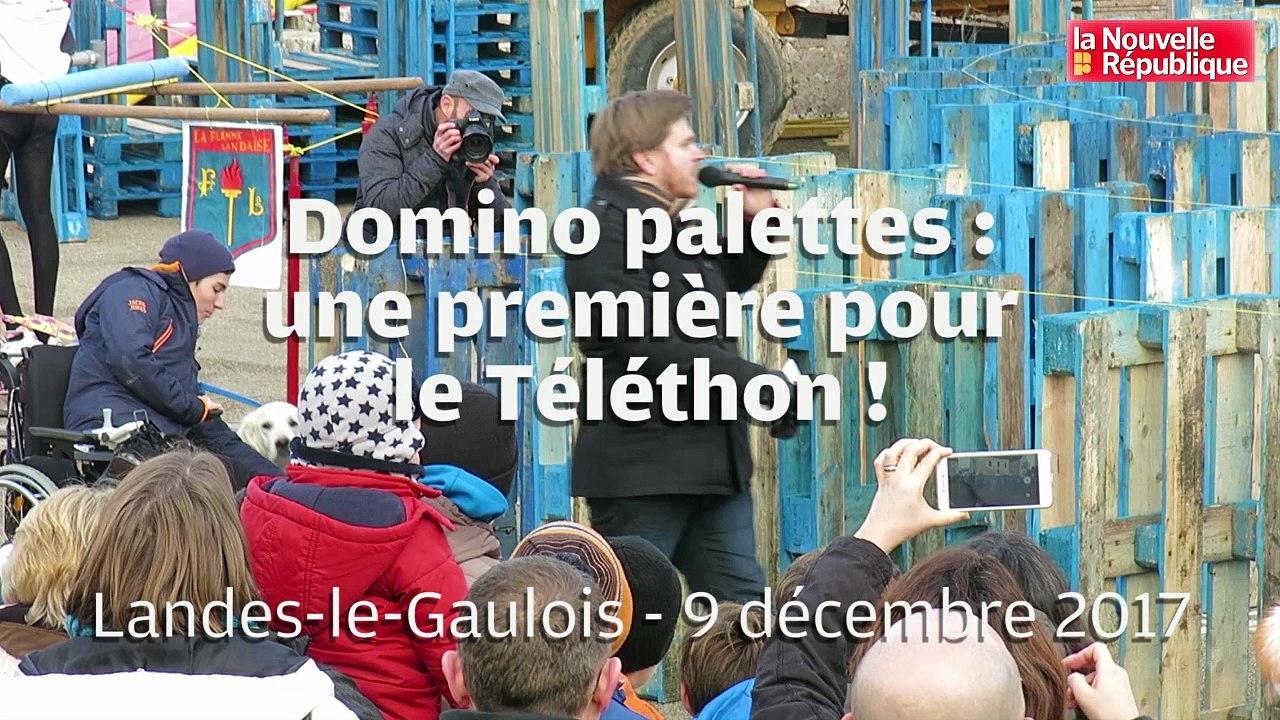 VIDEO 41. Un domino palettes inédit pour le Téléthon à Landes-le-Gaulois