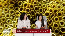 Kourtney Kardashian and Kendall Jenner Answer Ellen’s Burning Questions