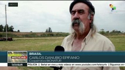 MST emprende una revolución agroecológica en Brasil