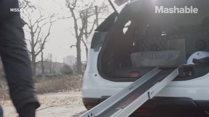 Is this the most dog-friendly car ever?