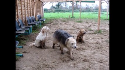 Bazil, Benji et Nawak !