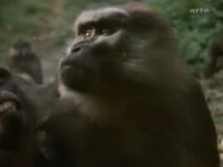 CONSCIENCE ANIMALE 1