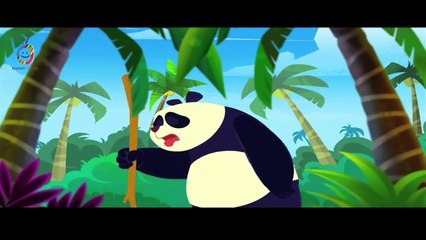 Pambo and Ricki Ki Kahaniya - One Big Shell - एक बड़ा शंख Kids Story Hindi