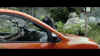 Renault: Gorilla
