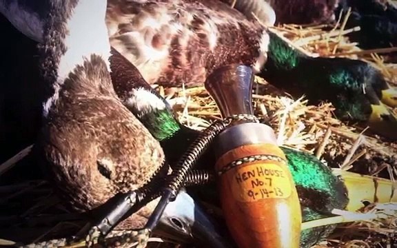 Beaver Creek Game Calls Gallery