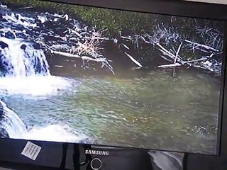 Reel Fishing Video Game Playstaion Stage 6 Catthrow Trout Fishing Beaver Dam