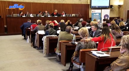 Rezultati istraživanja o stručnim stavovima i radu sa ženama žrtavama nasilja