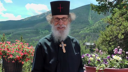 Politically Incorrect Jewish News .