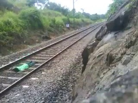 Ce débile se couche sur la voie ferrée alors qu'un train passe...