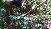 Primitive Technology  Making Swing in forest