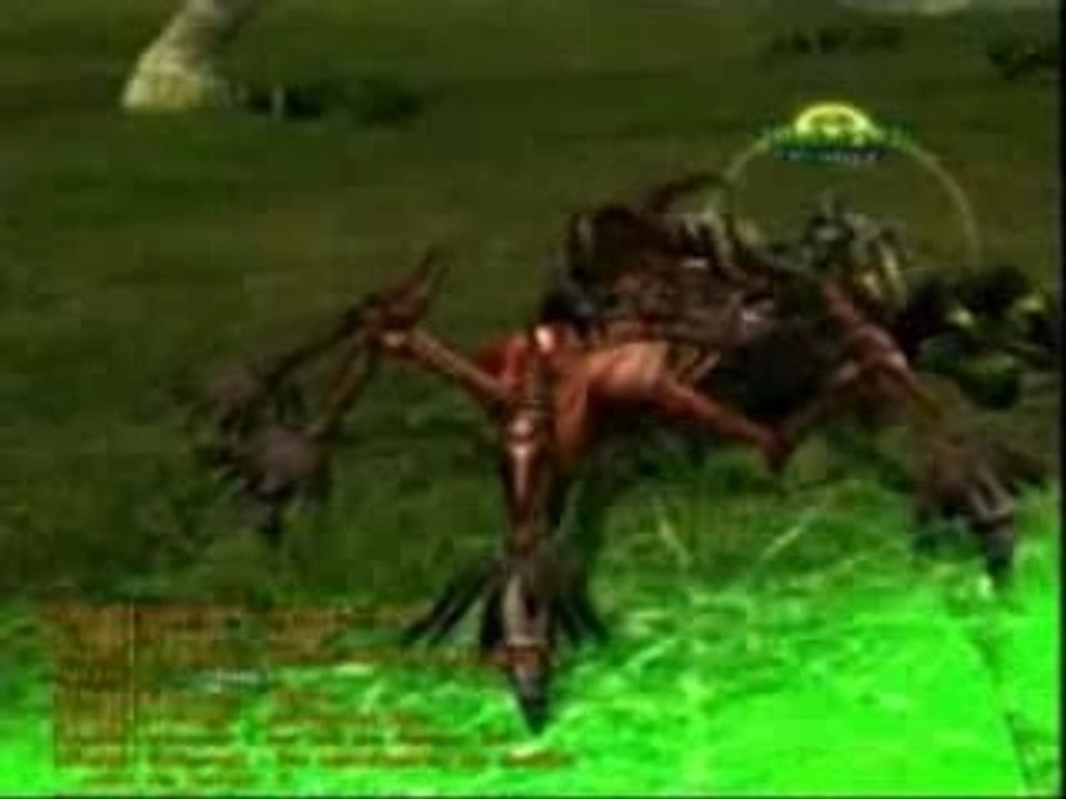 Guilde Freres d'armes