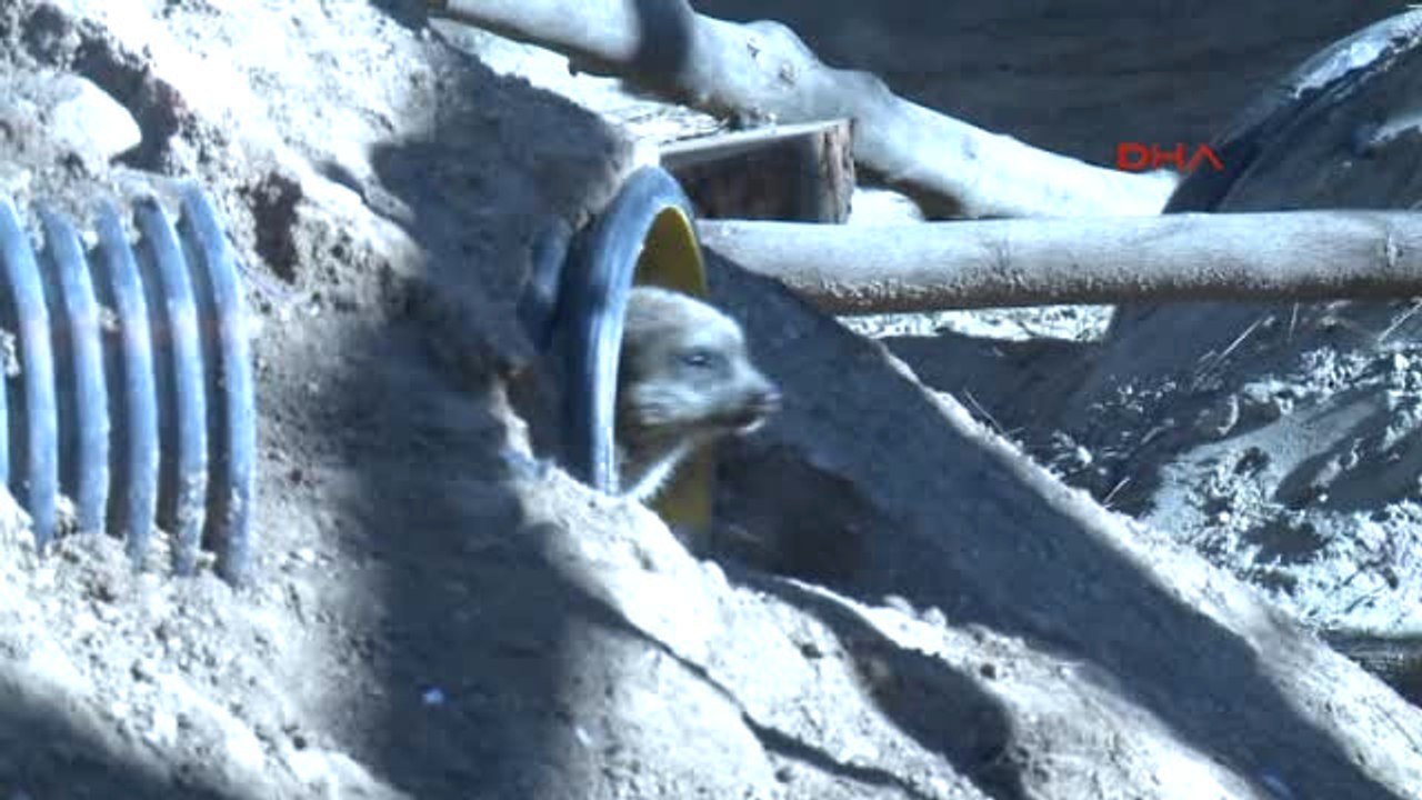 Antalya Hayvanat Bahçesi Sakinlerine Sıcak Yuva