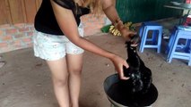 Amazing Cooking girl - Beautiful girl cooked chickens with soft corn