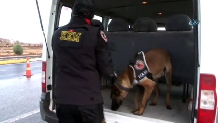 Narko Timlerin En Büyük Destekçisi Narko Köpekler