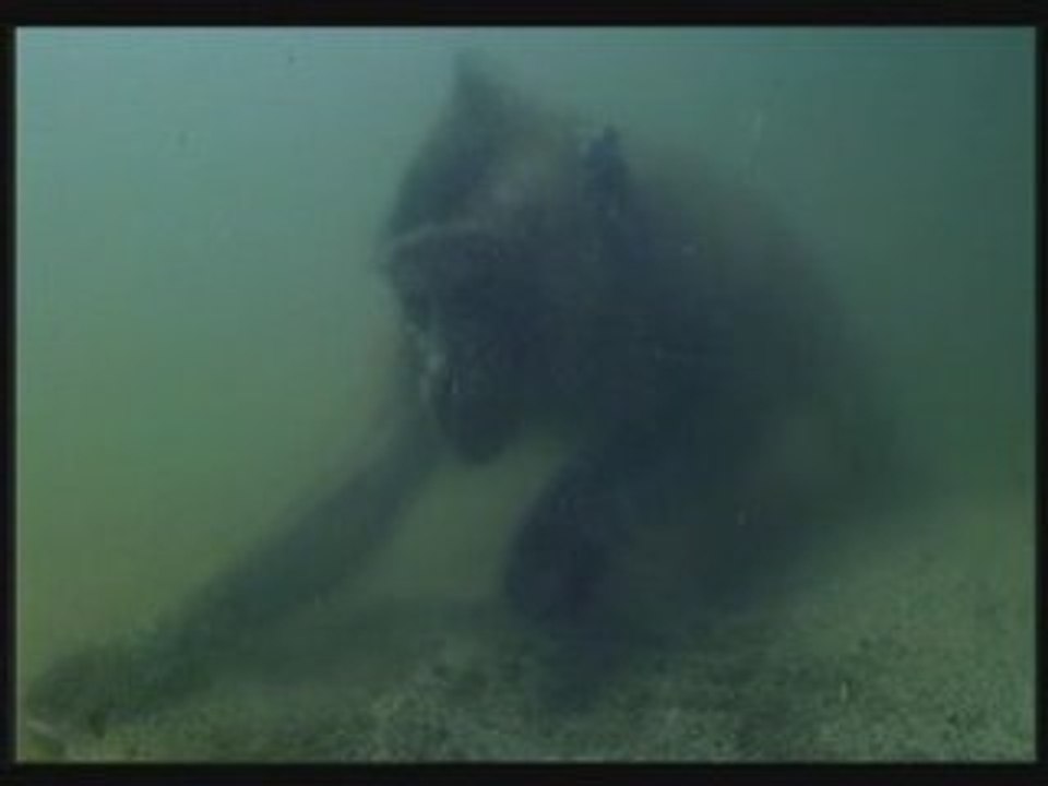 Le signe qui a traversé la mer