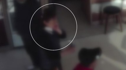 건설사 대표 폭행 혐의 피소...국립공원 시설 훼손한 군의원 / YTN