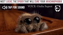 LUCAS IL RAGNO Contro L'aracnofobia || Lucas The Spider || ITALIANO